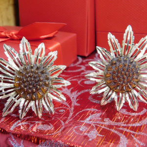 Sarah Coventry Signed Sunflower Clip Earrings